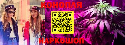 ECSTASY Кингисепп
