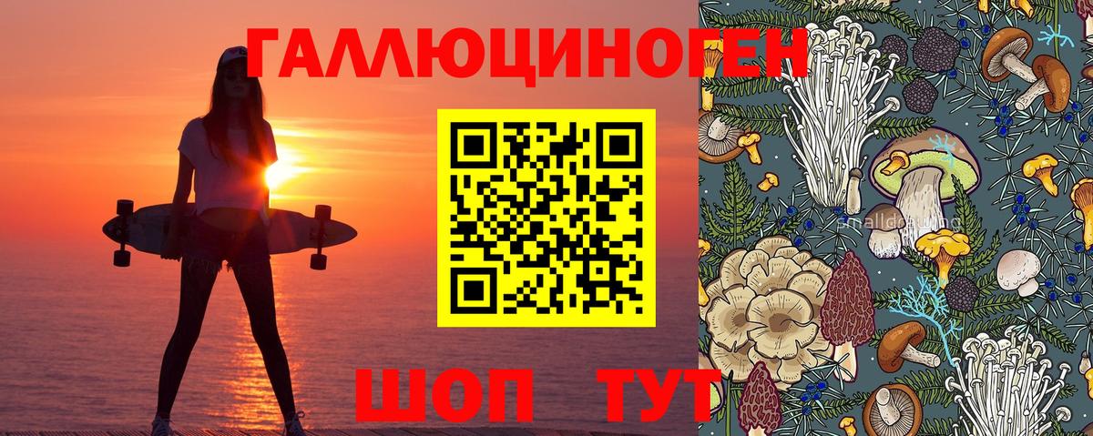 Киреевск  Псилоцибиновые грибы GOLDEN TEACHER  Вход с VPN 